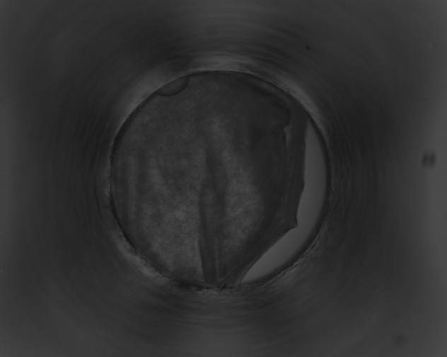 X0000091850994200710031016