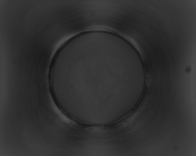 X0000091850995200710031016