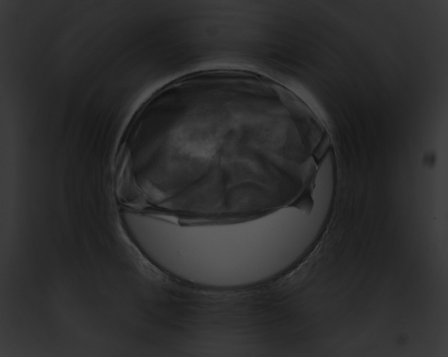 X0000091850996200710031016