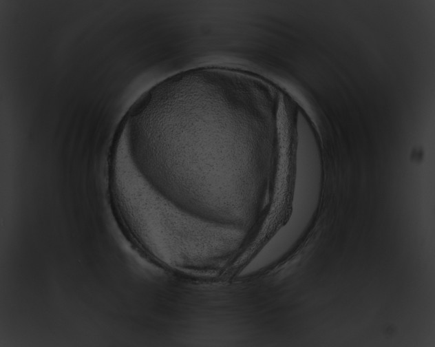 X0000091850999200710031016