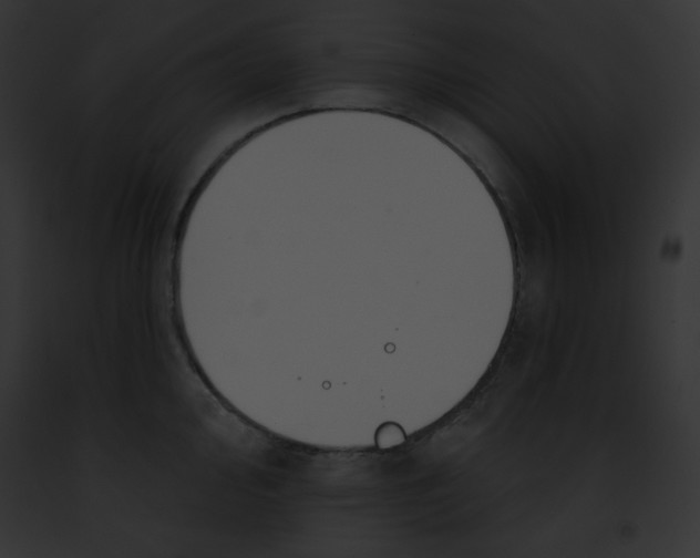 X0000091851000200710031016