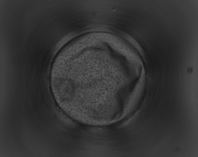 X0000091851002200710031016