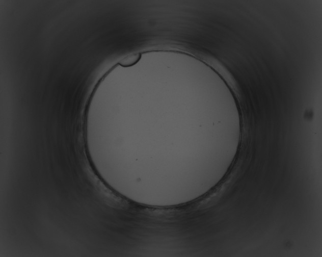 X0000091851004200710031016
