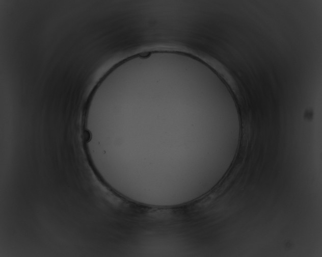 X0000091851006200710031016