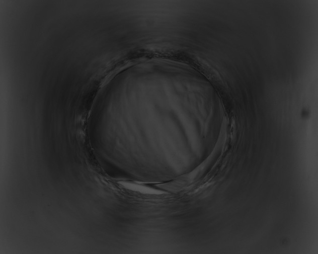 X0000091851010200710031015