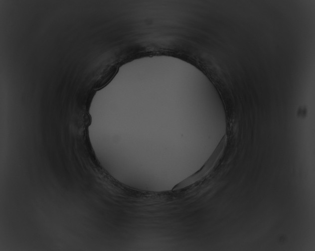 X0000091851012200710031015