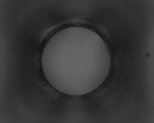 X0000091851016200710031015