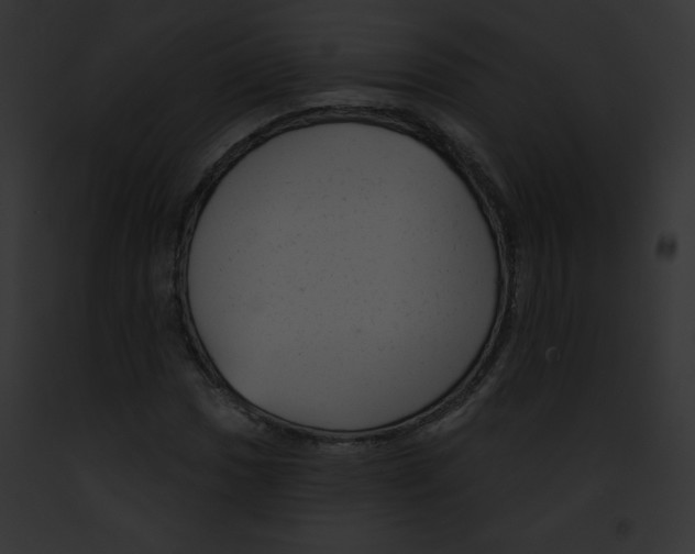 X0000091851017200710031015