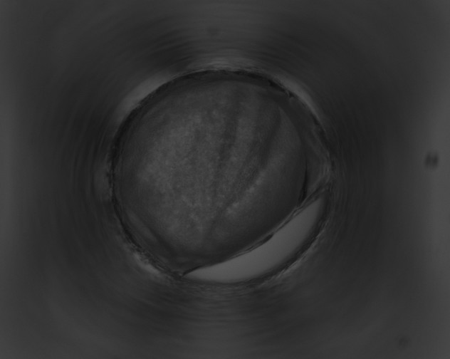 X0000091851018200710031015