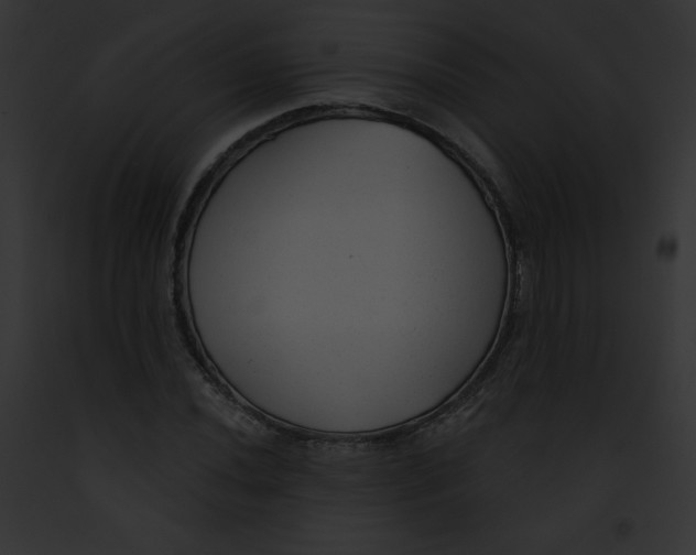 X0000091851020200710031015