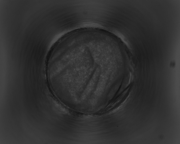 X0000091851022200710031016