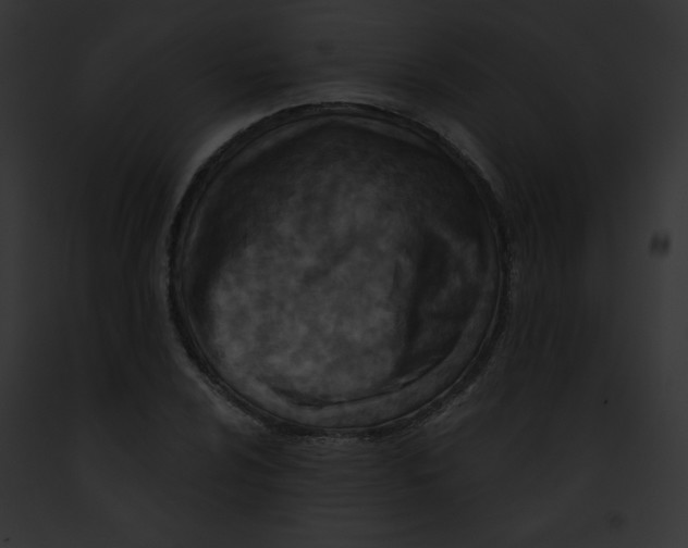 X0000091851024200710031016