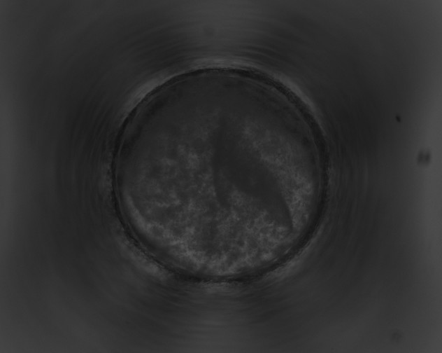 X0000091851025200710031016