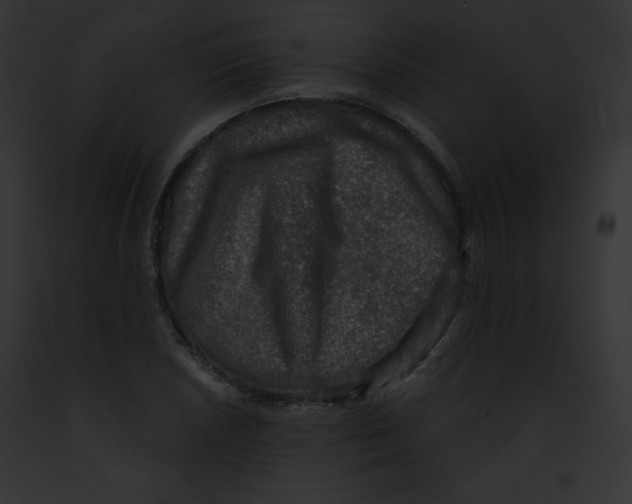 X0000091851026200710031016