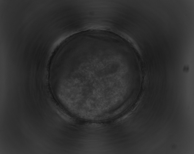 X0000091851027200710031016