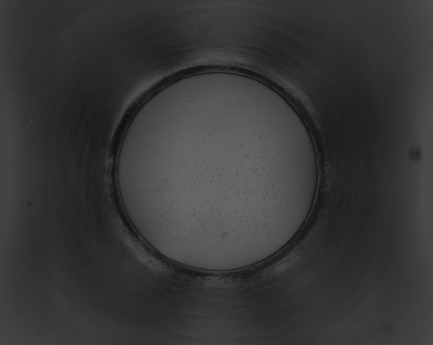 X0000091851029200710031016