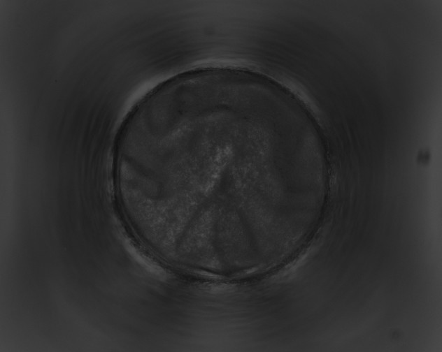 X0000091851030200710031016