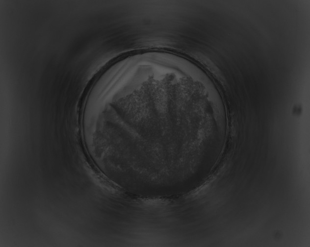 X0000091851031200710031016