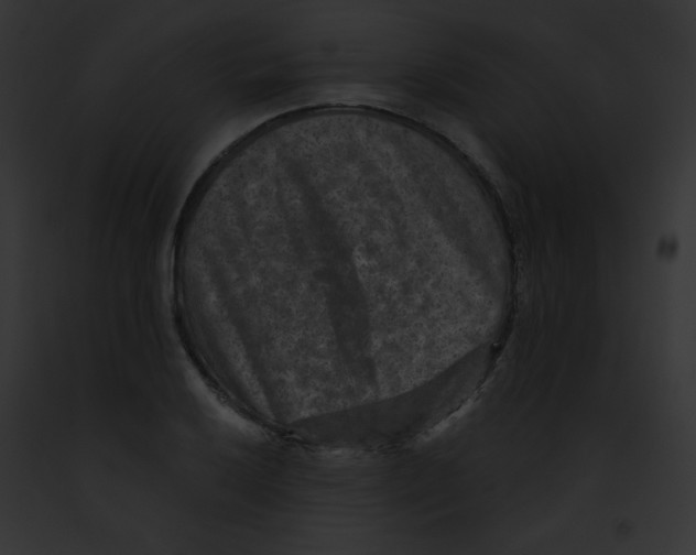 X0000091851032200710031016