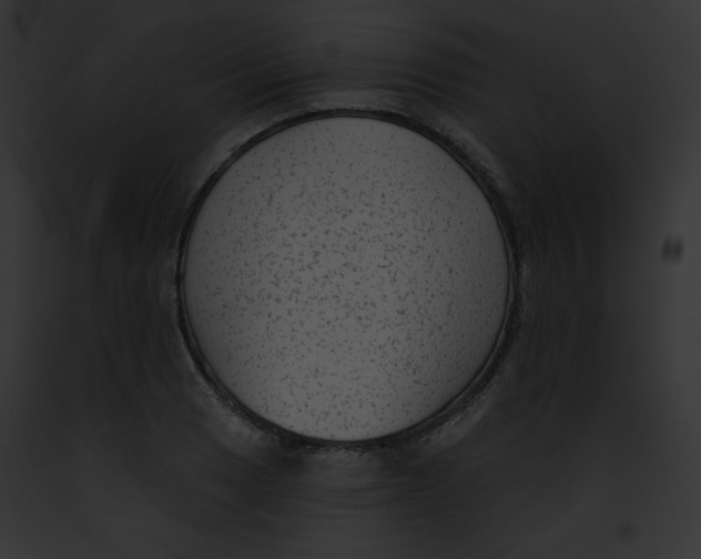 X0000091851033200710031016
