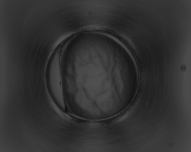 X0000091851034200710031016