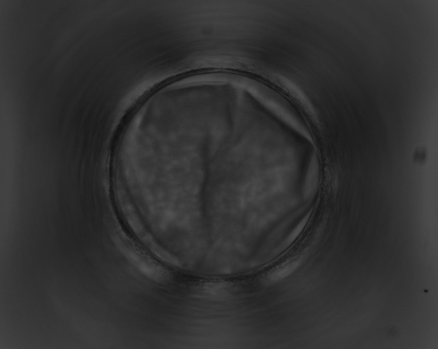 X0000091851035200710031016