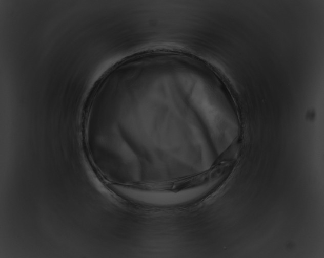 X0000091851038200710031016