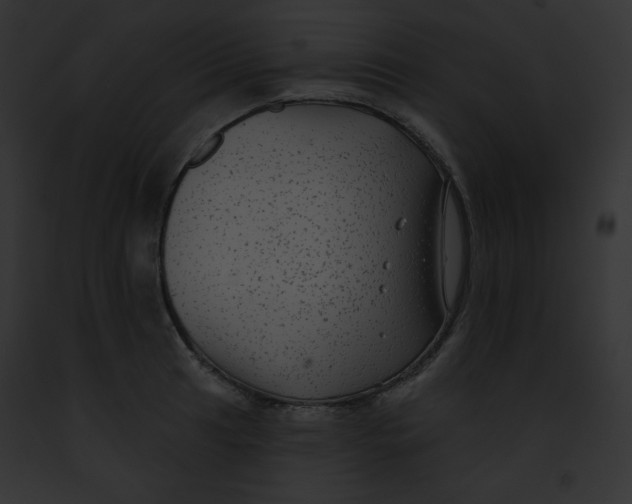 X0000091851041200710031016