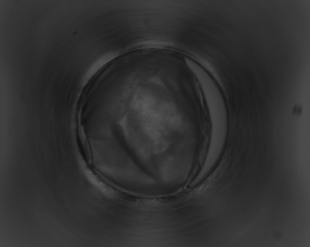 X0000091851042200710031016