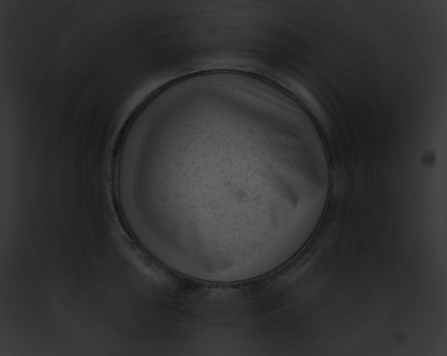 X0000091851043200710031016