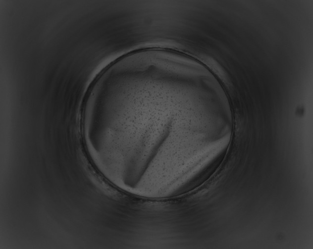 X0000091851044200710031016