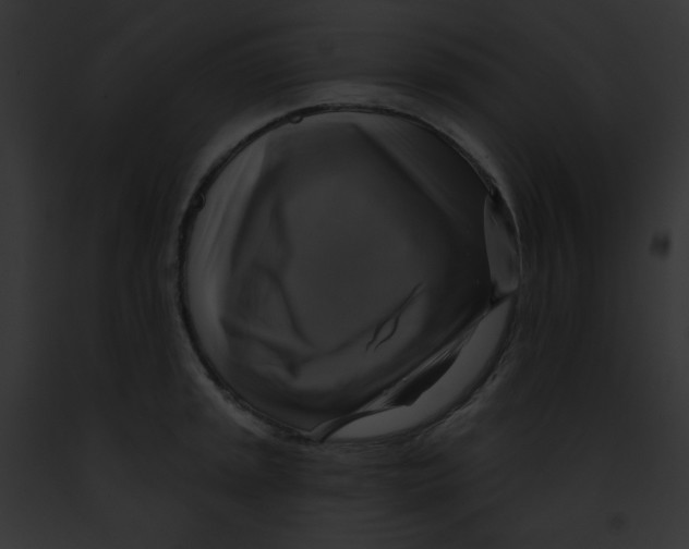 X0000091851045200710031016