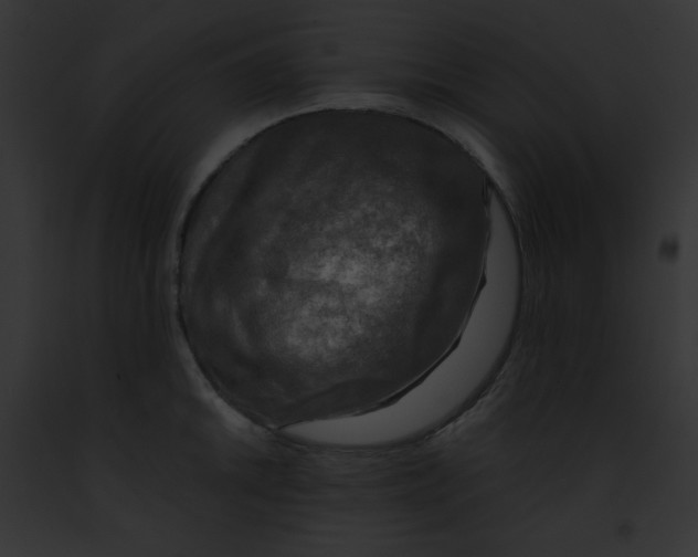 X0000091851046200710031016