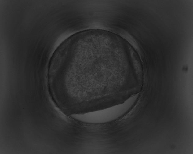 X0000091851048200710031016
