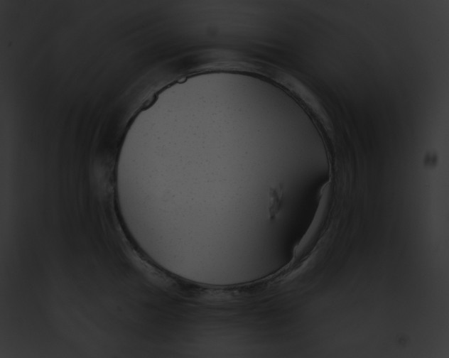 X0000091851049200710031016