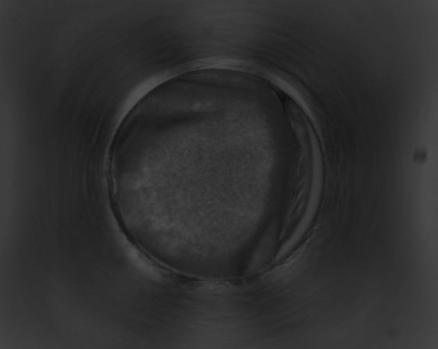X0000091851050200710031016
