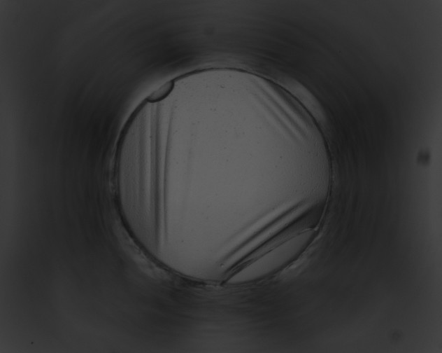 X0000091851052200710031016