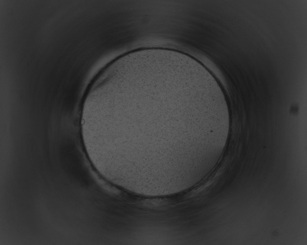 X0000091851053200710031016