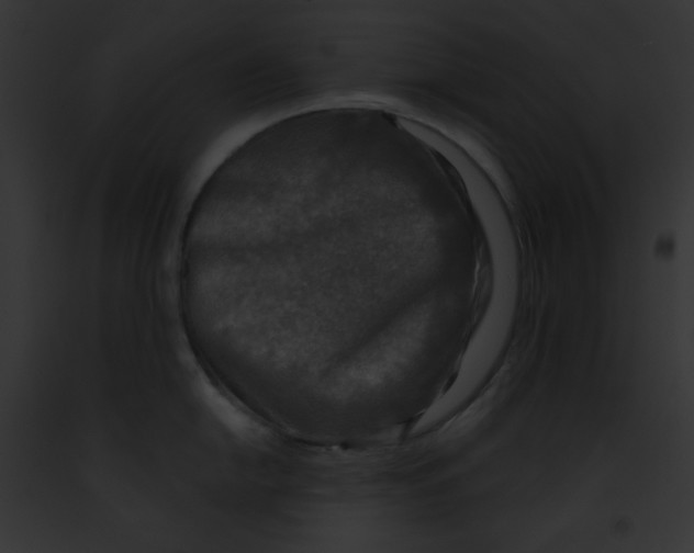 X0000091851054200710031016