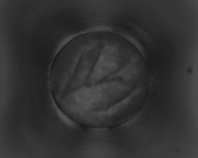 X0000091851055200710031016