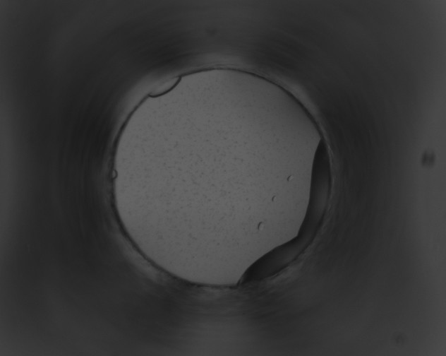 X0000091851056200710031016