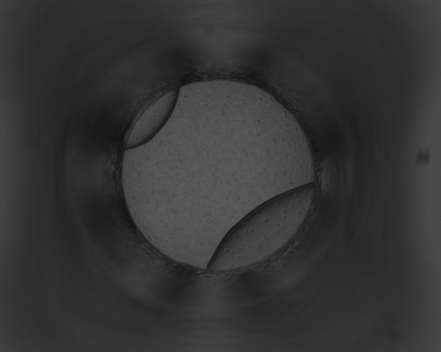 X0000091851059200710031015