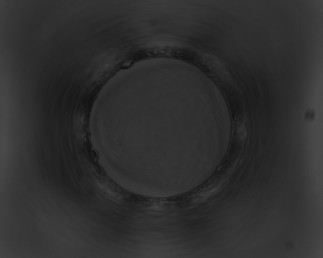 X0000091851060200710031015