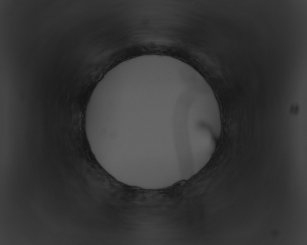 X0000091851061200710031015