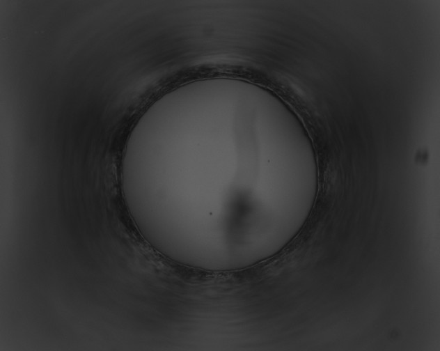 X0000091851062200710031015