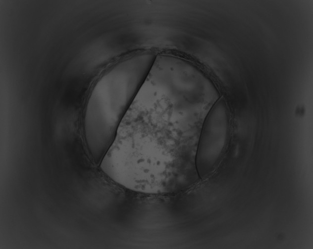 X0000091851063200710031015