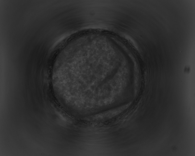 X0000091851064200710031015