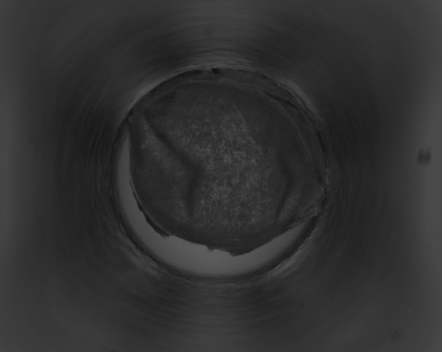 X0000091851065200710031015