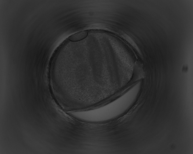 X0000091851068200710031015