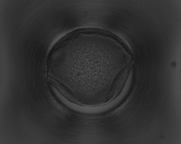 X0000091851069200710031015